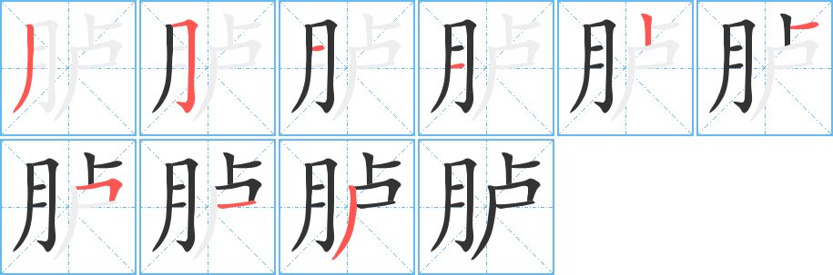 胪的笔顺分步演示