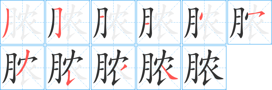 脓的笔顺分步演示