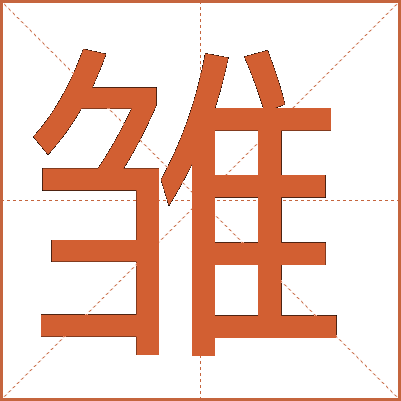 雏